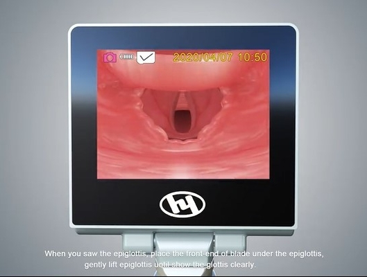 De Luchtroute Opnieuw te gebruiken Videolaryngoscoop 3100mm van Ce FDA ISO13485